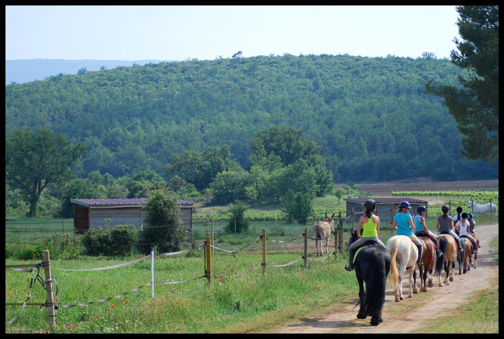 Les Terres De Saint Hilaire Bed and Breakfast Ollières Εξωτερικό φωτογραφία
